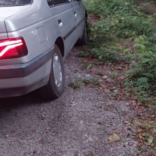 پژو 405 مدل 91