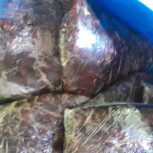 استان خوزستان شادگان