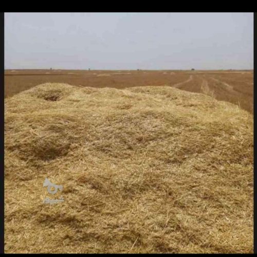 فروش کاه گندم
