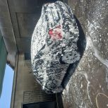 ماشین فوق العاده اوکی سرپا به شرط