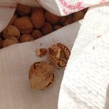 گردو درجه یک عمده