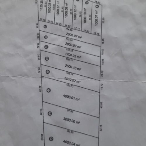 زمین کشاورزی