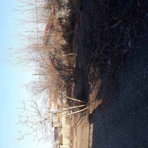 فروش زمین وخانه ویلایی