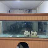 آکواریوم بزرگ 2متری