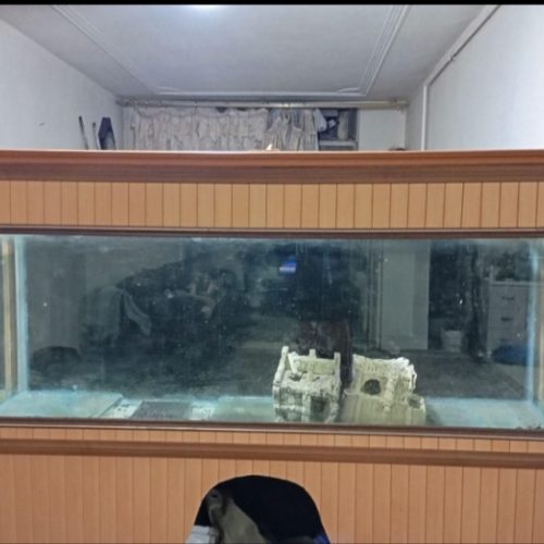 آکواریوم بزرگ 2متری