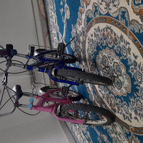 2 عدد دوچرخه