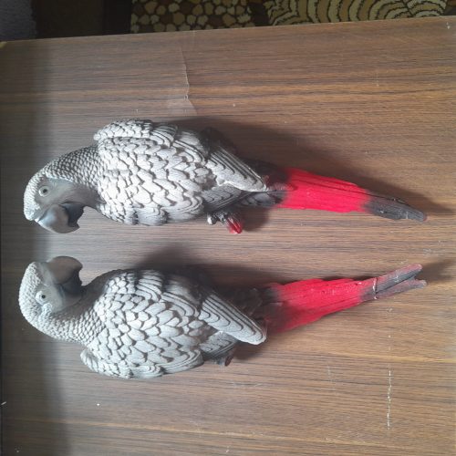 مجسمه طوطی دیوار کوب