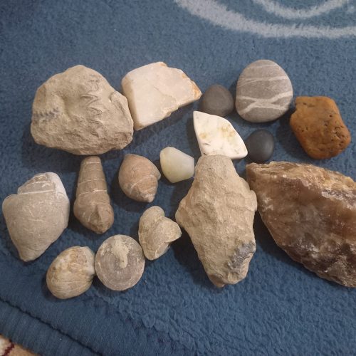 تعدادی سنگ قیمتی ونیمه قیمتی +تعدادی هم فسیل صدف دریایی برای فروش