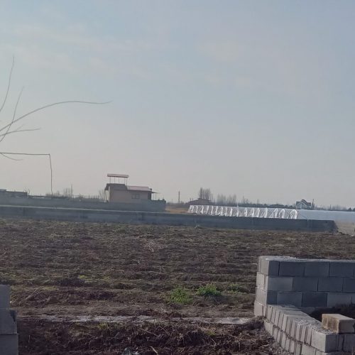 فروش زمین کشاورزی1000