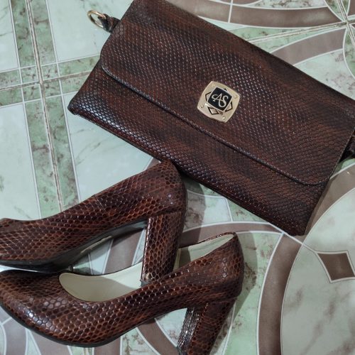 کیف و کفش ست مجلسی