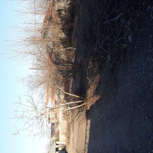 فروش زمین وخانه ویلایی