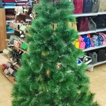 درخت کاج کریس مس