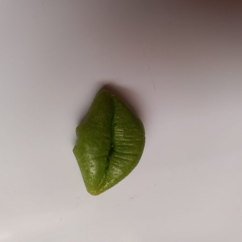 اکسسوری پاپیه و رزین