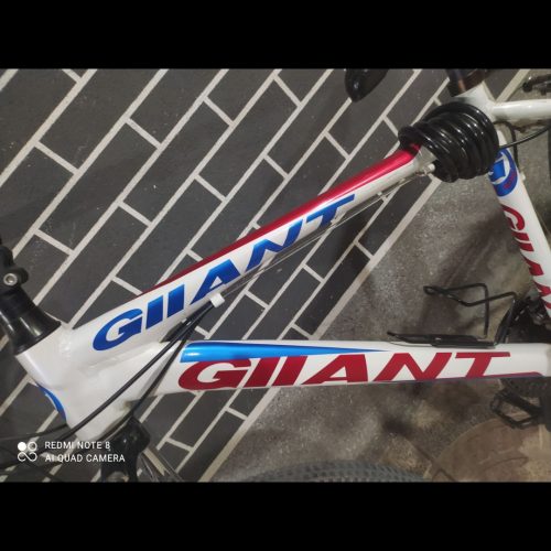 دوچرخه 26 حرفه ای