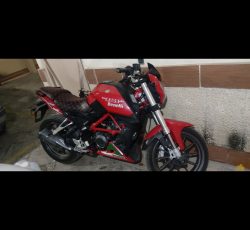 بنلی 250تک  سیلند