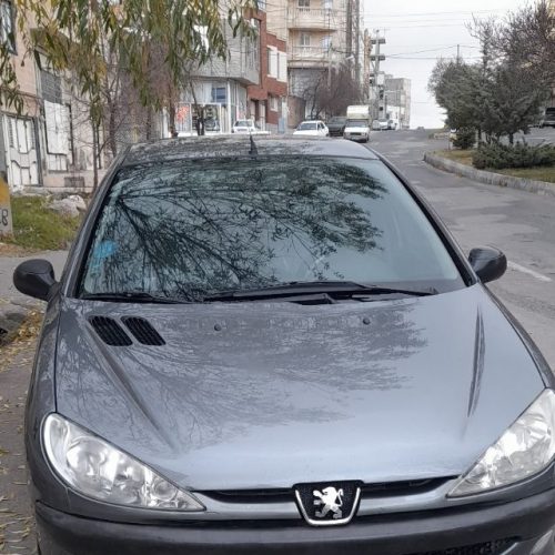 206تیپ 2 بی رنگ