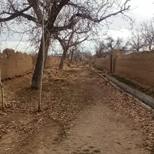 زمین باغی با یه ساعت آب قنات