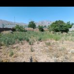 زمین باغی با یه ساعت آب قنات