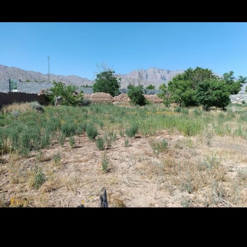 زمین باغی با یه ساعت آب قنات