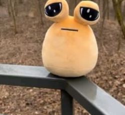 پرستاری کودک وسالمند