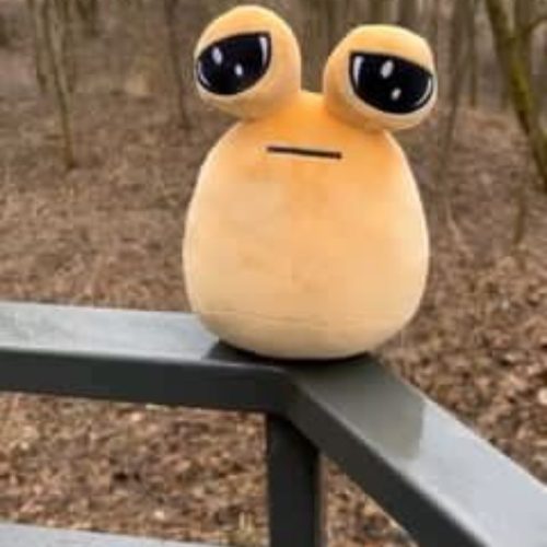 پرستاری کودک وسالمند