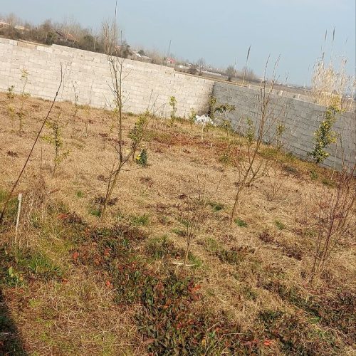 زمین مسکونی 431متری