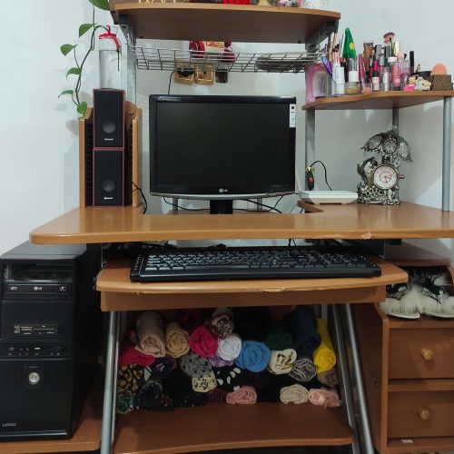 کامپیوترالجی