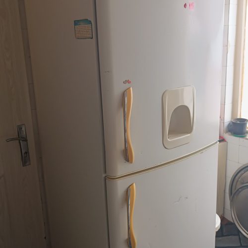 یخچال درحدنوالکتوراستلی