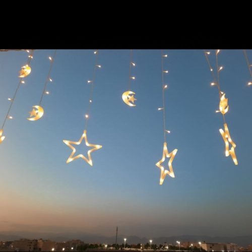 واحد شیک سند تک برگ