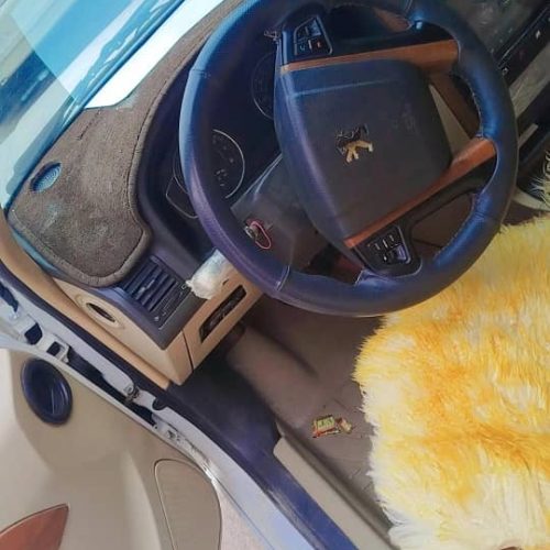 پژو پارس TU5تمیز 401برچ8