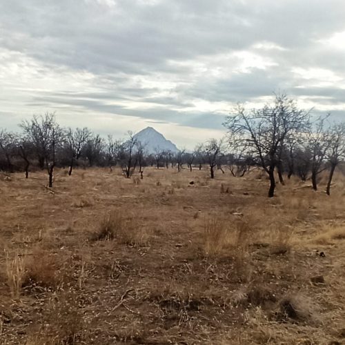 زمین باغی با یه ساعت آب قنات