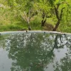 باغ