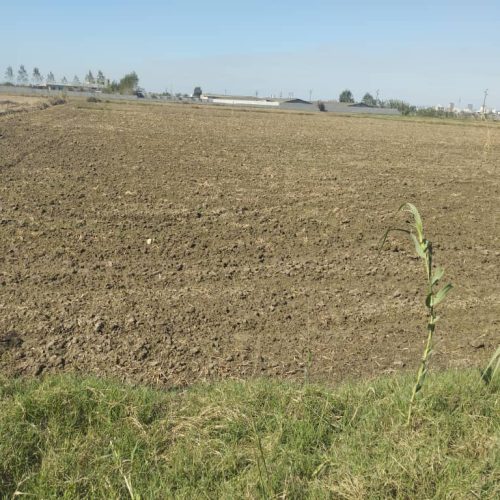 فروش زمین کشاورزی و باغی  5560 متری سنددار