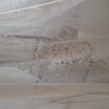 10 متر پرده توری با طرح گل و عروس و داماد