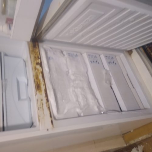 یخچال فریزر دو درب سالم مارک یخساران ..فریز ر7کشو