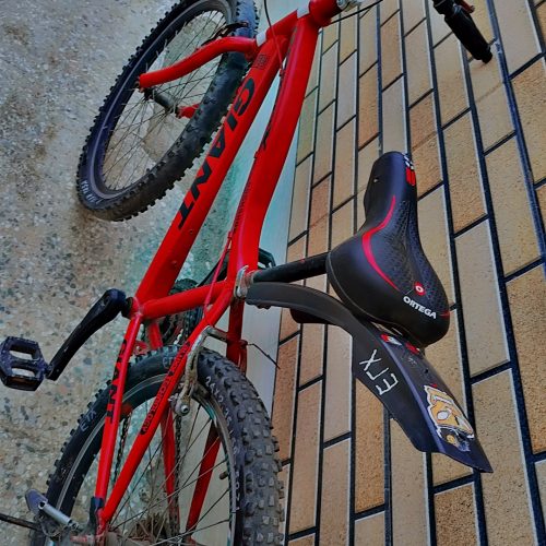 دوچرخه ویوا 24