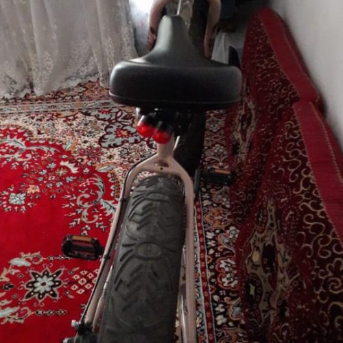 دوچرخه ساحلی