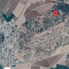 فروش باغ دیم انگور