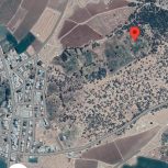 فروش باغ دیم انگور