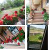 ویلا دوخوابه تمیز