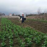 300 متر زمین  در هادیکیاشهر کلاچای بدون کاربر