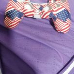 کاور کنترل پلی استیشن چهار