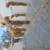 سالن پذیرایی و مجالس روشا