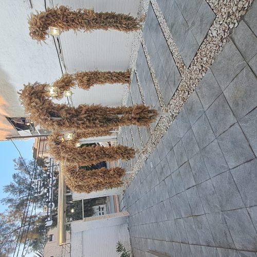 سالن پذیرایی و مجالس روشا