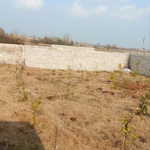 زمین مسکونی 431متری
