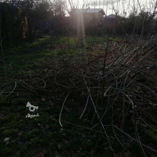 زمین مسکونی