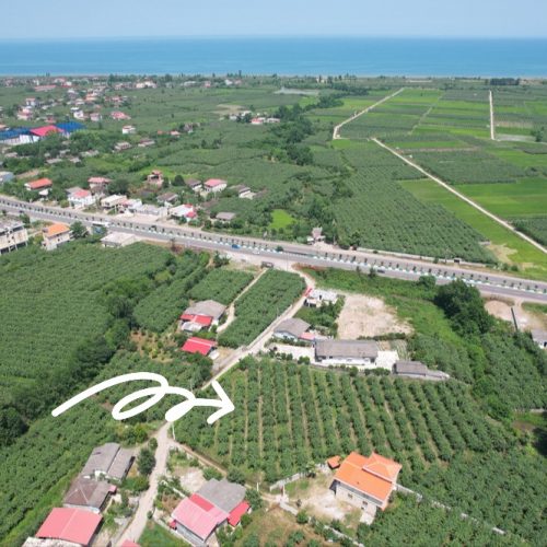 فروش باغ کیوی در شهر حویق ‌