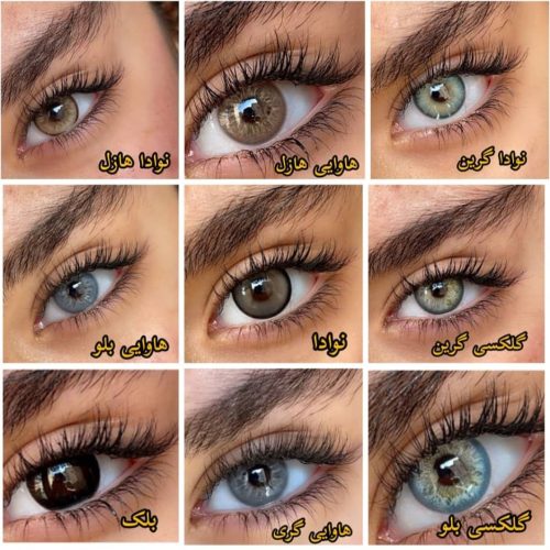 آرایشی پینترسی