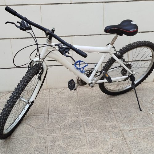 پوتین مردانه