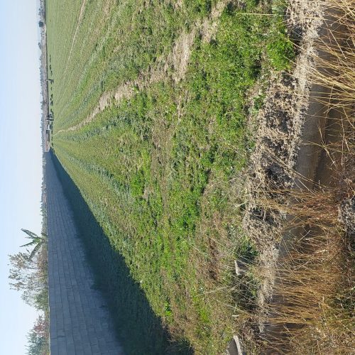 فروش زمین کشاورزی